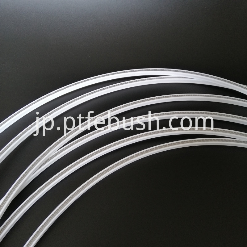 Spring Energized Seal